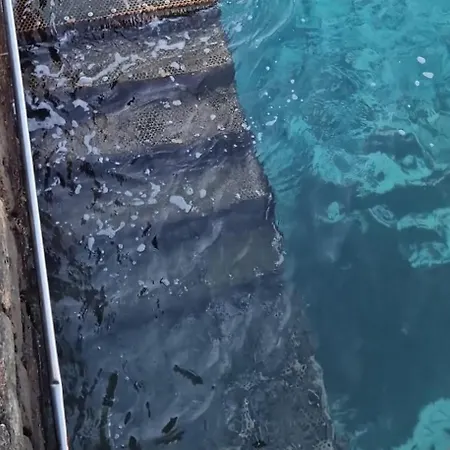 Piso Nuevo En El Puertito De Gueimar Al Lado Del Mar Realizamos Servicio De Excursiones Con Guia *
